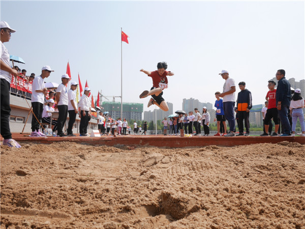 P1120549.jpg